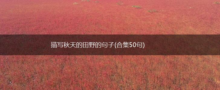 描写秋天的田野的句子(合集50句),第1张
