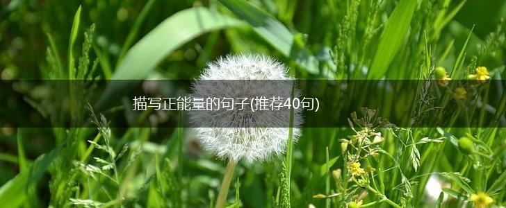 描写正能量的句子(推荐40句),第1张