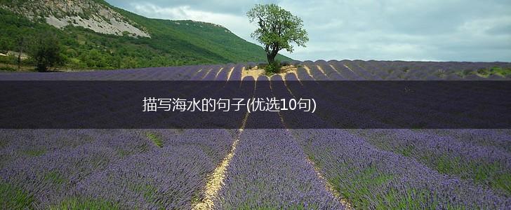 描写海水的句子(优选10句),第1张