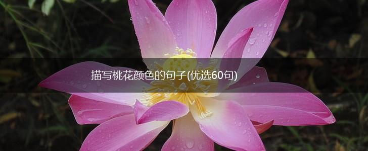 描写桃花颜色的句子(优选60句),第1张