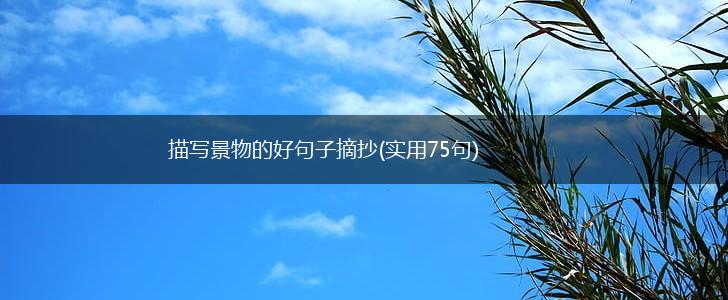 描写景物的好句子摘抄(实用75句),第1张