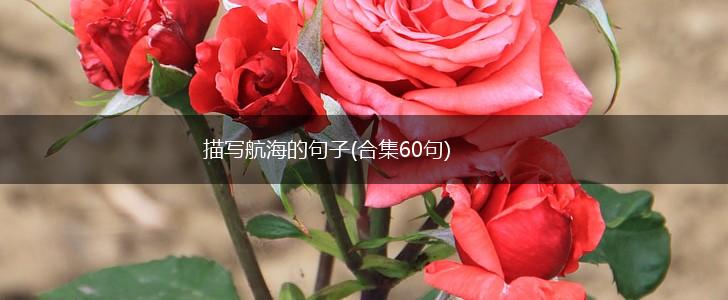 描写航海的句子(合集60句),第1张