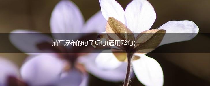 描写瀑布的句子短句(通用73句),第1张
