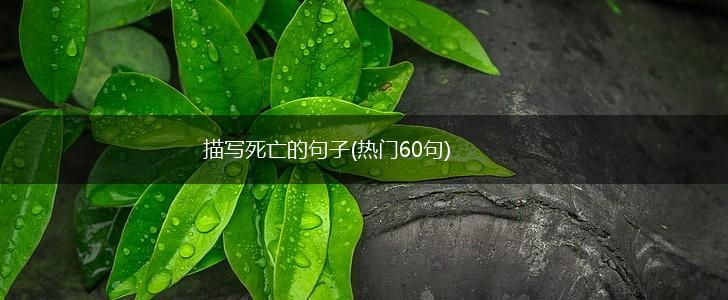 描写死亡的句子(热门60句),第1张