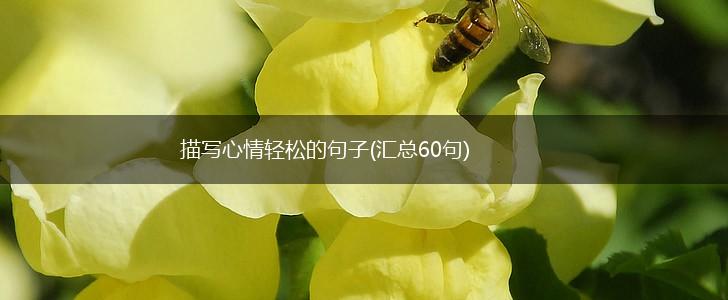 描写心情轻松的句子(汇总60句),第1张