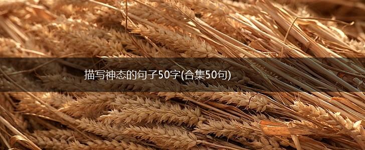 描写神态的句子50字(合集50句),第1张