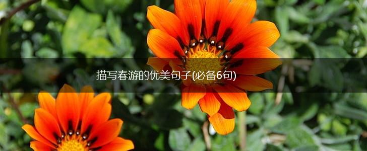 描写春游的优美句子(必备6句),第1张