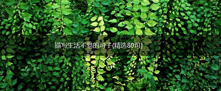 描写生活不易的句子(精选80句),第1张