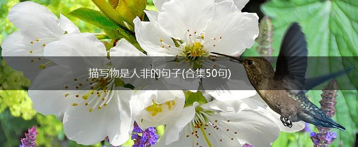 描写物是人非的句子(合集50句),第1张