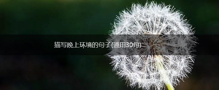 描写晚上环境的句子(通用30句),第1张