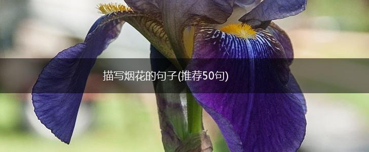 描写烟花的句子(推荐50句),第1张