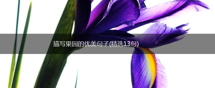 描写果园的优美句子(精选13句),第1张