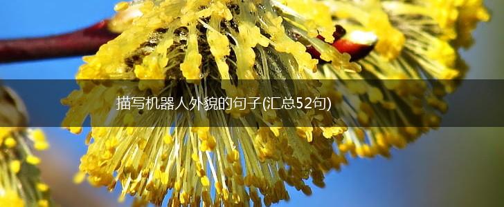 描写机器人外貌的句子(汇总52句),第1张