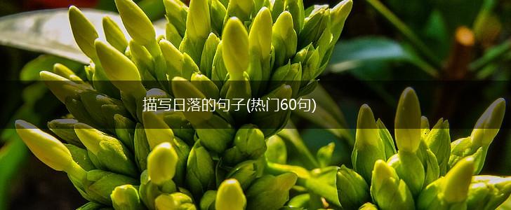 描写日落的句子(热门60句),第1张