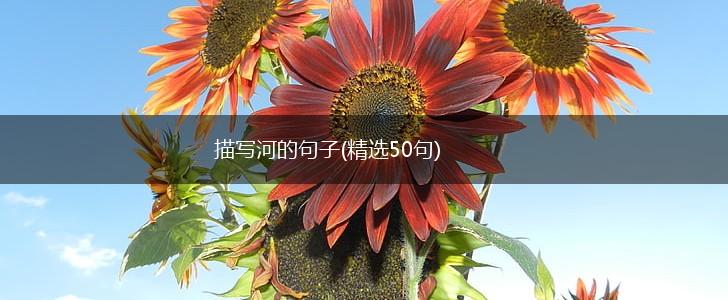 描写河的句子(精选50句),第1张