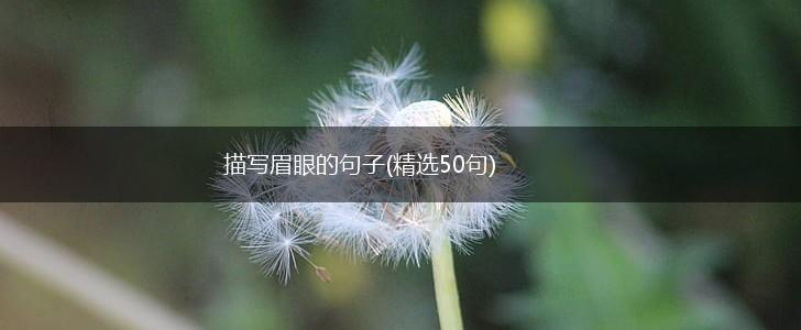 描写眉眼的句子(精选50句),第1张