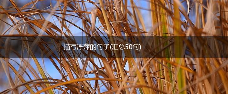 描写浮萍的句子(汇总50句),第1张 描写浮萍的句子(汇总50句),第1张
