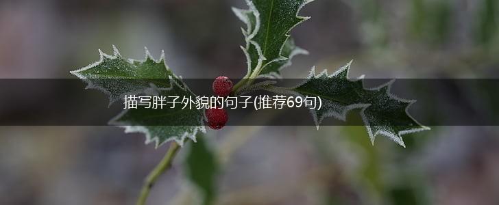 描写胖子外貌的句子(推荐69句),第1张