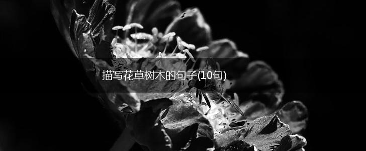 描写花草树木的句子(10句),第1张