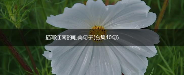 描写江南的唯美句子(合集40句),第1张
