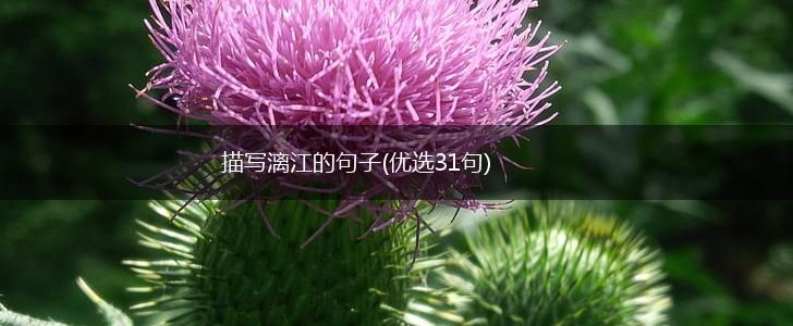 描写漓江的句子(优选31句),第1张