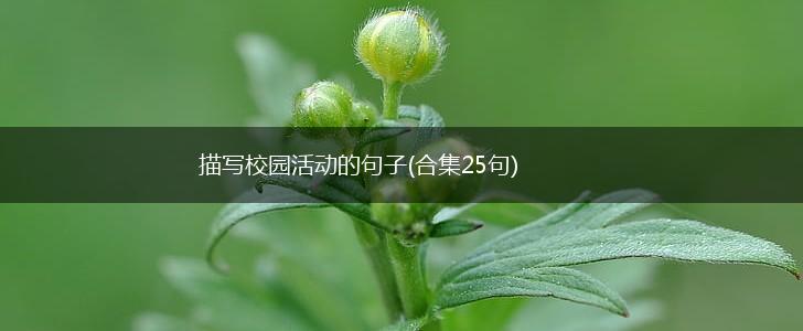描写校园活动的句子(合集25句),第1张
