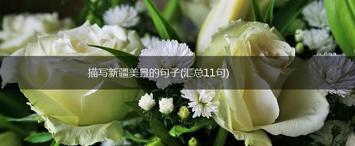 描写新疆美景的句子(汇总11句),第1张