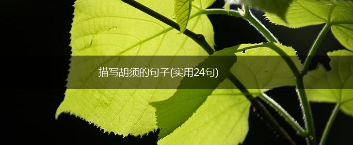 描写胡须的句子(实用24句),第1张