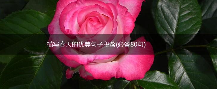 描写春天的优美句子段落(必备80句),第1张