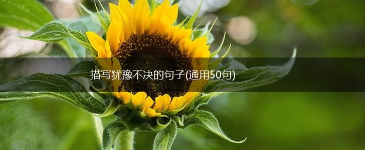 描写犹豫不决的句子(通用50句),第1张