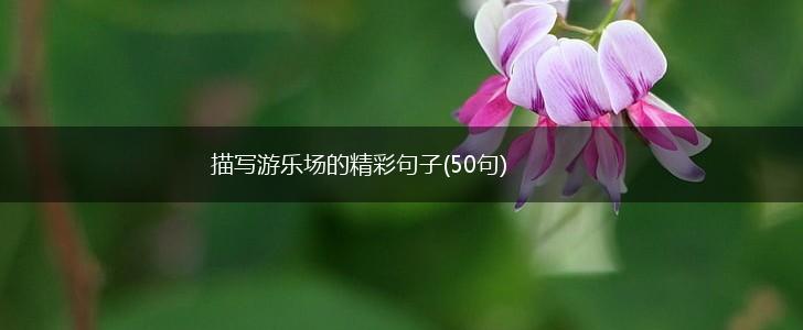 描写游乐场的精彩句子(50句),第1张