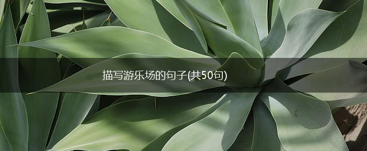 描写游乐场的句子(共50句),第1张