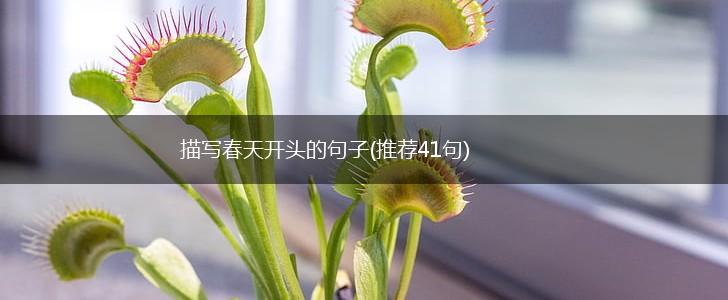 描写春天开头的句子(推荐41句),第1张