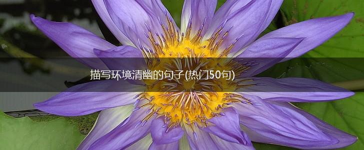 描写环境清幽的句子(热门50句),第1张