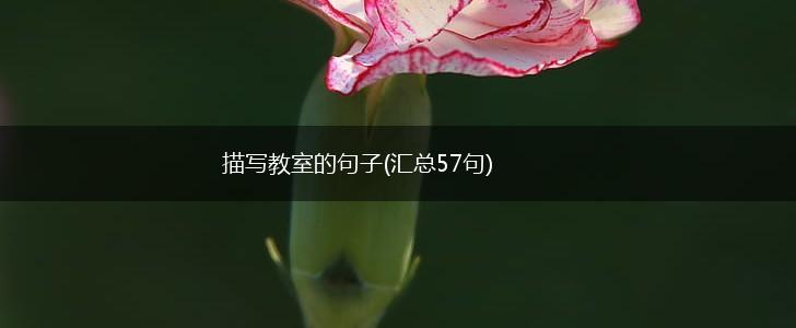 描写教室的句子(汇总57句),第1张