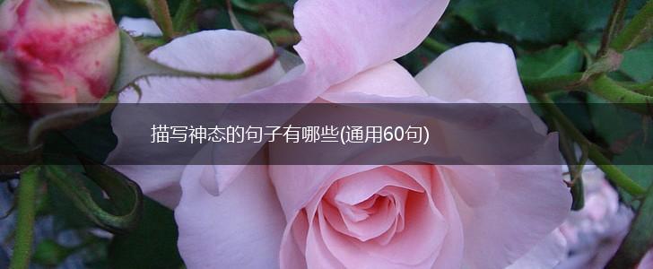 描写神态的句子有哪些(通用60句),第1张