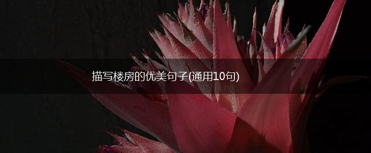 描写楼房的优美句子(通用10句),第1张
