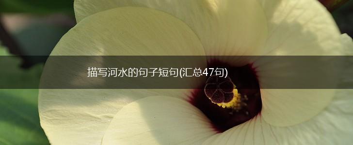 描写河水的句子短句(汇总47句),第1张