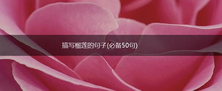 描写榴莲的句子(必备50句),第1张