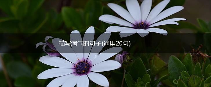 描写淘气的句子(通用20句),第1张
