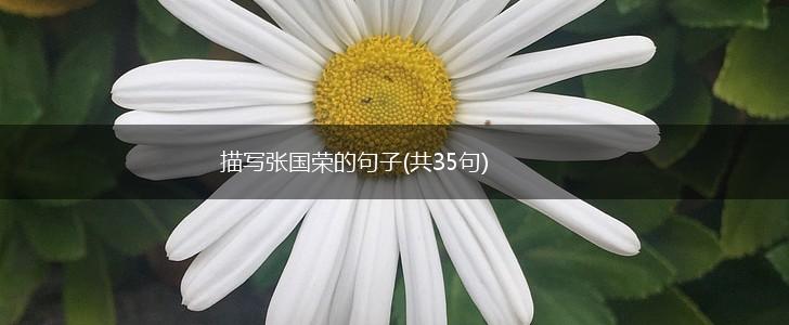 描写张国荣的句子(共35句),第1张