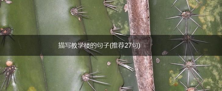 描写教学楼的句子(推荐27句),第1张
