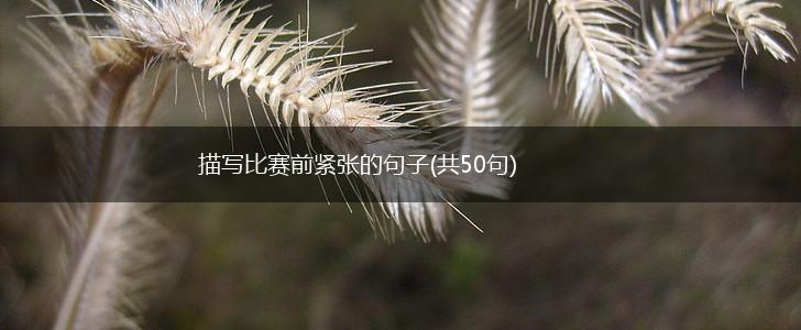 描写比赛前紧张的句子(共50句),第1张