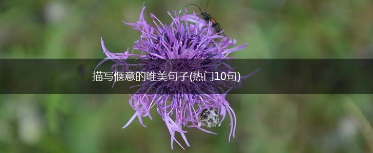 描写惬意的唯美句子(热门10句),第1张