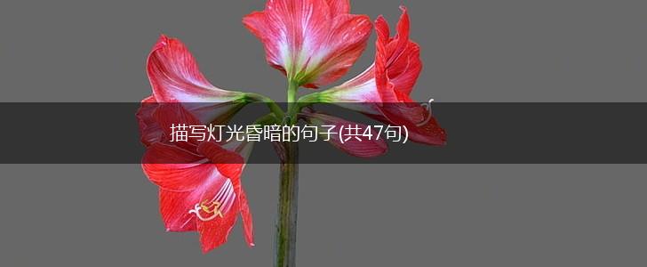 描写灯光昏暗的句子(共47句),第1张