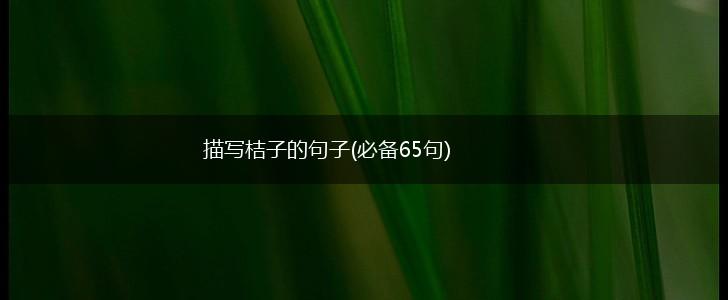 描写桔子的句子(必备65句),第1张