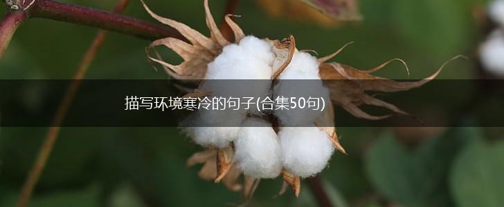描写环境寒冷的句子(合集50句),第1张 描写环境寒冷的句子(合集50句),第1张