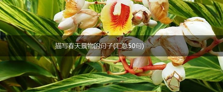 描写春天景物的句子(汇总50句),第1张