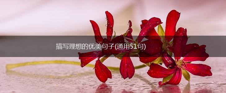 描写理想的优美句子(通用51句),第1张