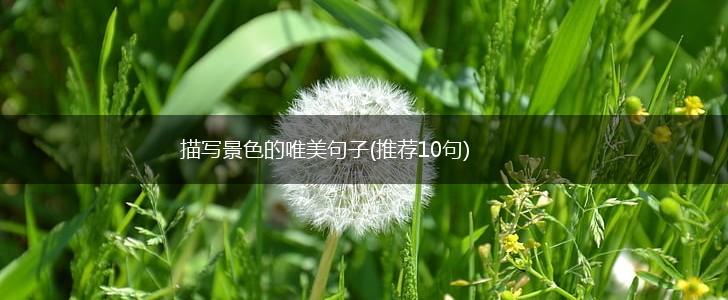 描写景色的唯美句子(推荐10句),第1张